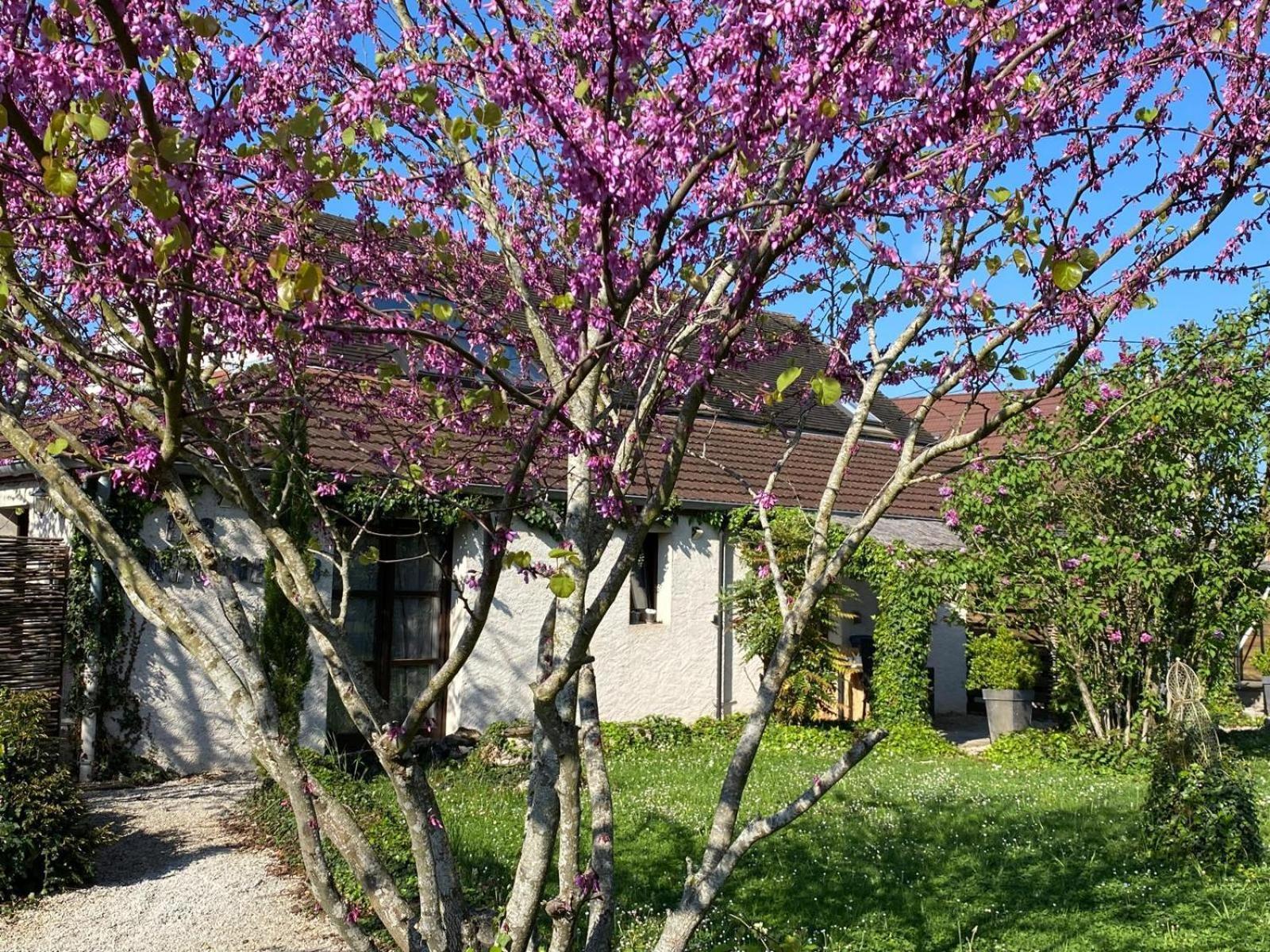 Gite Et Studios Les Barongeres Farges-les-Chalon Exterior foto